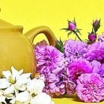 article image - 